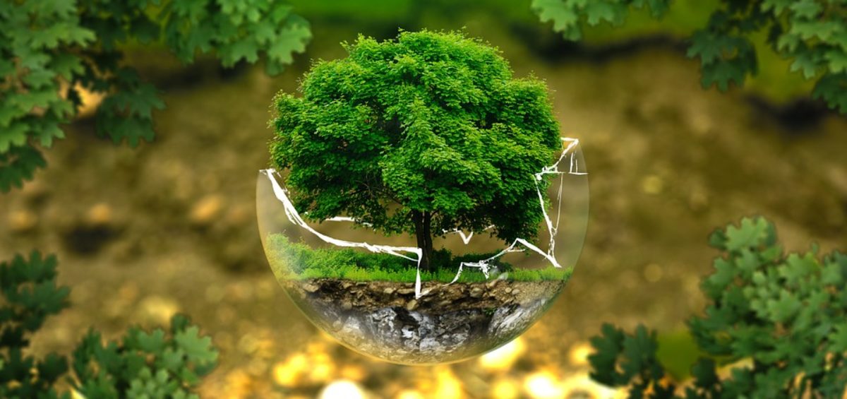 environmental-protection-326923_960_720