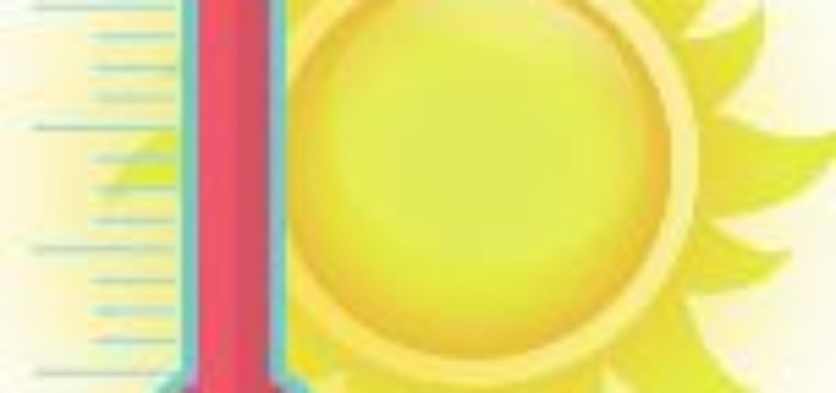sole